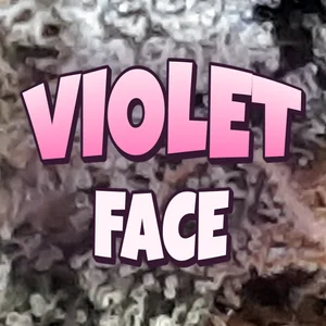 Violet Face Cannabis Strain
