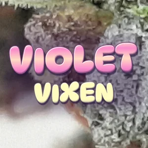 Violet Vixen Cannabis Strain