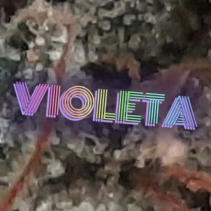 Violeta Cannabis Strain