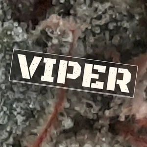 Viper Cannabis Strain