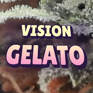 Vision Gelato Cannabis Strain