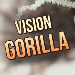 Vision Gorilla Cannabis Strain