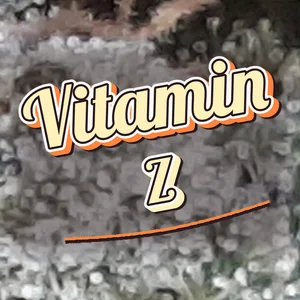 Vitamin Z Cannabis Strain