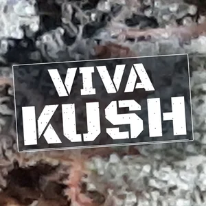 Viva Kush Cannabis Strain