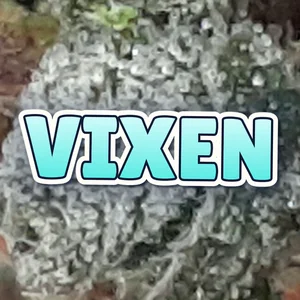 Vixen Cannabis Strain