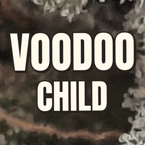 Voodoo Child Cannabis Strain