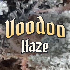 Voodoo Haze Cannabis Strain