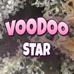 Voodoo Star Cannabis Strain