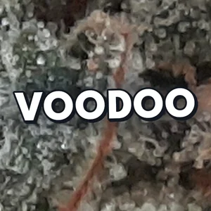 Voodoo Cannabis Strain