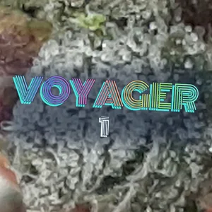 Voyager 1 Cannabis Strain
