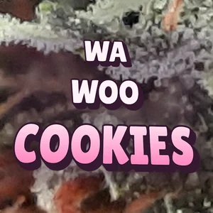 WA Woo Cookies Cannabis Strain