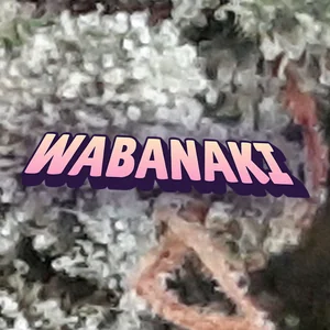 Wabanaki Cannabis Strain