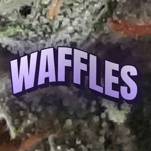 Waffles Cannabis Strain