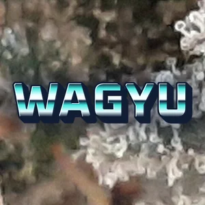 Wagyu Cannabis Strain