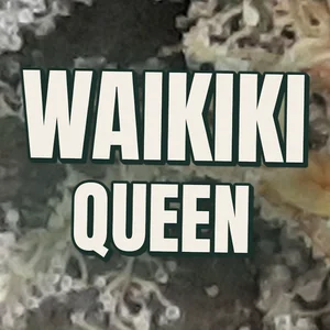 Waikiki Queen Cannabis Strain