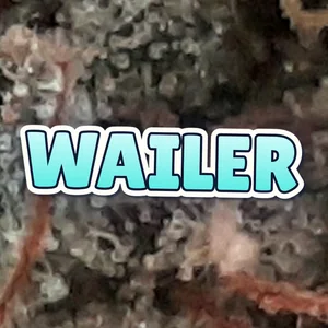 Wailer Cannabis Strain