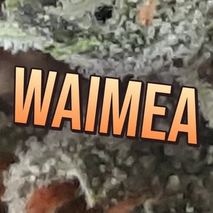 Waimea Cannabis Strain