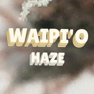 Waipi'o Haze Cannabis Strain