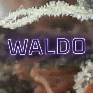 Waldo Cannabis Strain