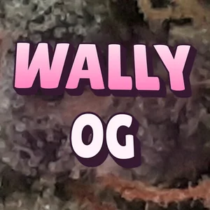 Wally OG Cannabis Strain