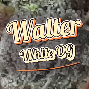 Walter White OG Cannabis Strain