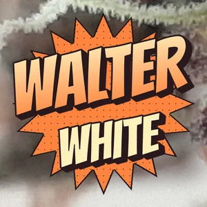 Walter White Cannabis Strain