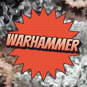Warhammer Cannabis Strain