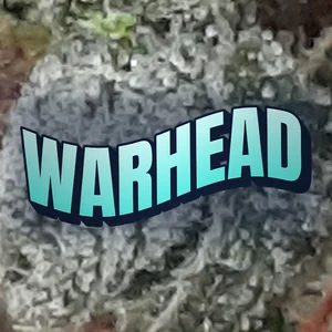Warhead Cannabis Strain