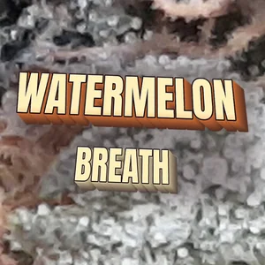 Watermelon Breath Cannabis Strain