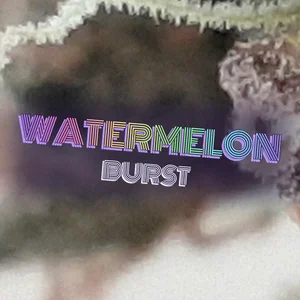 Watermelon Burst Cannabis Strain