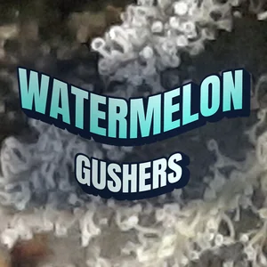Watermelon Gushers Cannabis Strain