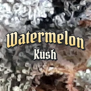 Watermelon Kush Cannabis Strain