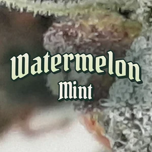 Watermelon Mint Cannabis Strain