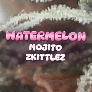 Watermelon Mojito Zkittlez Cannabis Strain