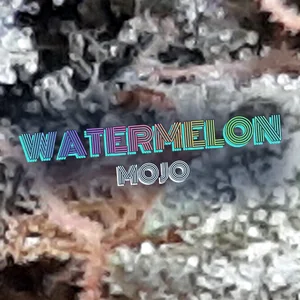 Watermelon Mojo Cannabis Strain