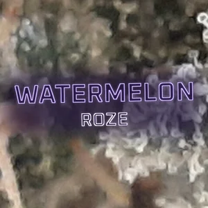 Watermelon Roze Cannabis Strain