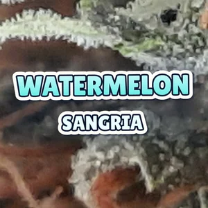 Watermelon Sangria Cannabis Strain
