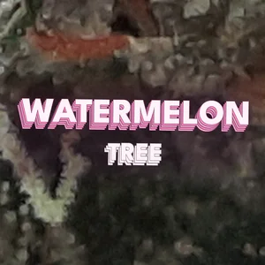 Watermelon Tree Cannabis Strain