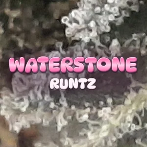 Waterstone Runtz Cannabis Strain