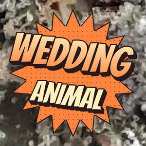 Wedding Animal Cannabis Strain