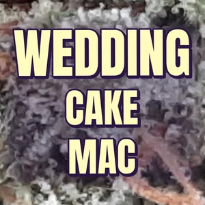 Wedding Cake MAC Cannabis Strain