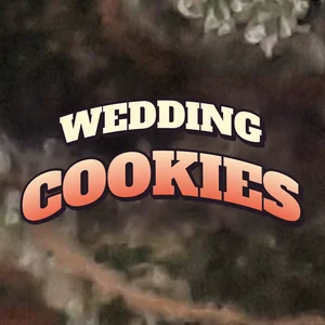 Wedding Cookies Cannabis Strain