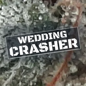 Wedding Crasher Cannabis Strain