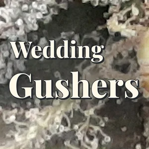 Wedding Gushers Cannabis Strain
