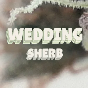 Wedding Sherb Cannabis Strain
