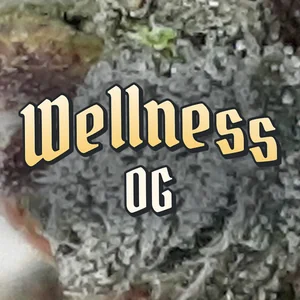Wellness OG Cannabis Strain