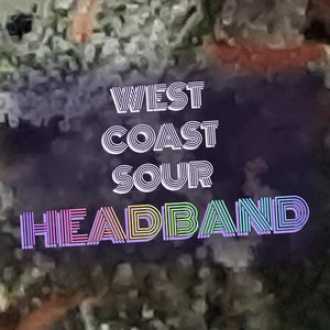 West Coast Sour Headband Cannabis Strain