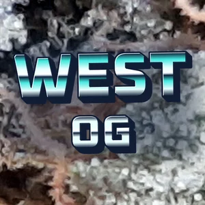 West OG Cannabis Strain