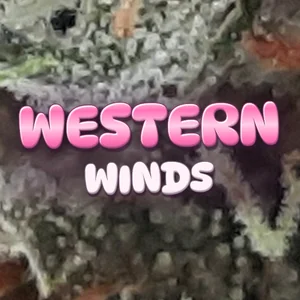 Western Winds Cannabis Strain