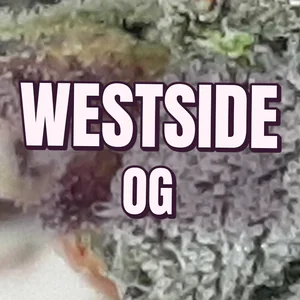 Westside OG Cannabis Strain